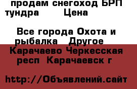 продам снегоход БРП тундра 550 › Цена ­ 450 000 - Все города Охота и рыбалка » Другое   . Карачаево-Черкесская респ.,Карачаевск г.